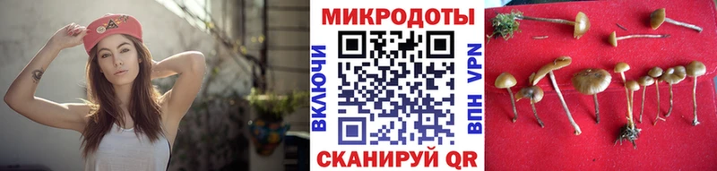 shop какой сайт Духовщина Псилоцибиновые грибы мухоморы